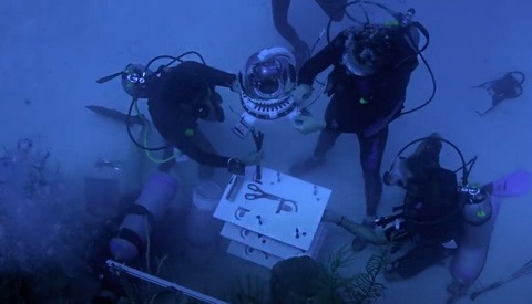 Beneath the Surface: The First Time-Lapse to Record Coral Bleaching