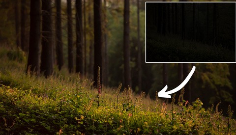 Can You Save a Photo Through Lightroom Editing Alone?