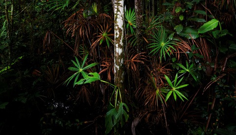Are You Stir Crazy Yet? Gear, Photos, and Adventure in the Amazon