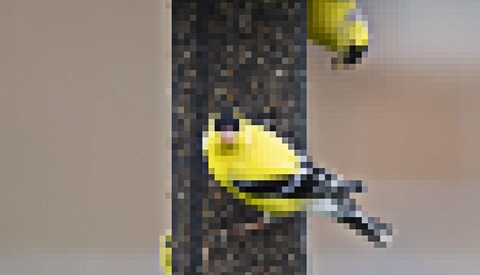 The Photographer's Pixel Problem