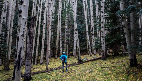 The Film Camera To End All Film Cameras A Long Term Review Of The Nikon F2 Fstoppers