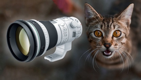 Canon’s 2020 RF Lens Roadmap Emerges: Six New Lenses, Including a Nifty Fifty and Two Big Surprises