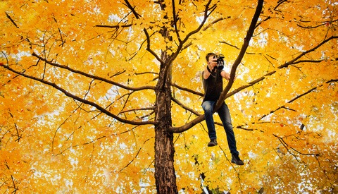 5 Camera Features That Have Changed the Way I Shoot