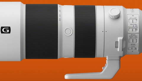 Sony 200-600mm Lens Settings for Bird Photography