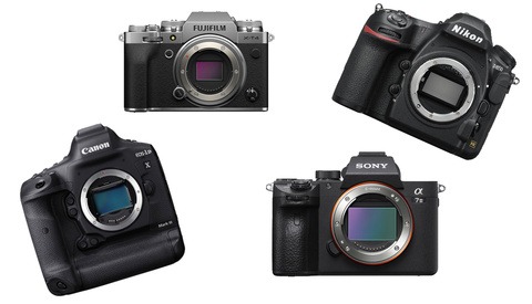 The Most Important Camera Feature Photographers Overlook