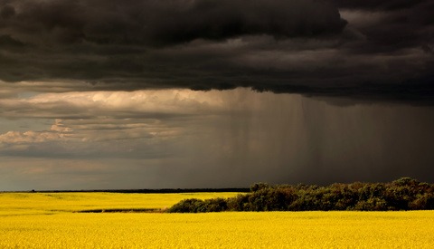 The Dangers of Digital Sharecropping for Photographers