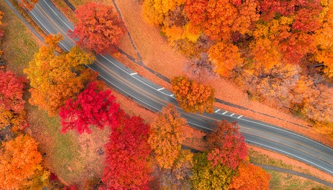 How a Simple Change in Compositional Philosophy Can Vastly Improve Your Photos