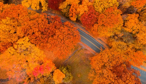 Improve Your Photos by Doing More Work Beforehand