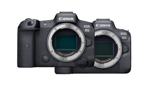 Canon Just Announced the EOS R6 and EOS R5: Here's How They Compare