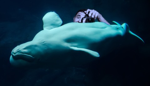 What Shot Is Your Photography White Whale?