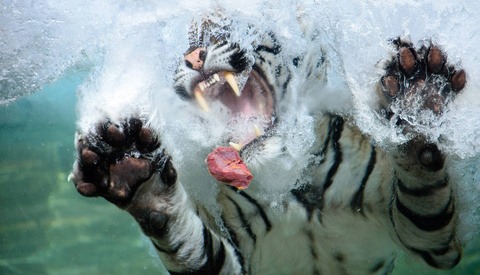 The Best Images from GuruShots "World of Water" Challenge