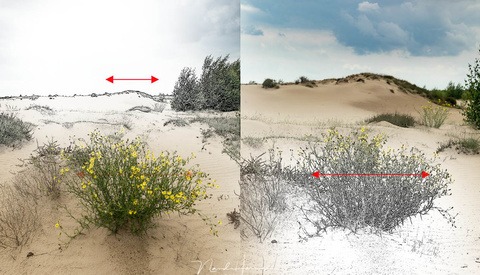 The Relationship Between the Foreground and the Background