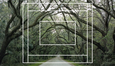 A Primer to Shooting Film in 2020: Format and Camera Options