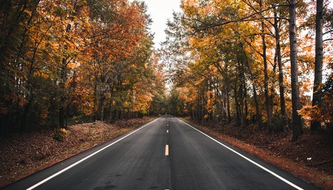 Tips for Getting Better Landscape Photos in Autumn