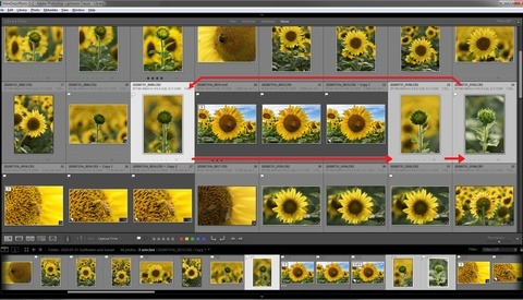 Three Lightroom Features That You Probably Don't Know About