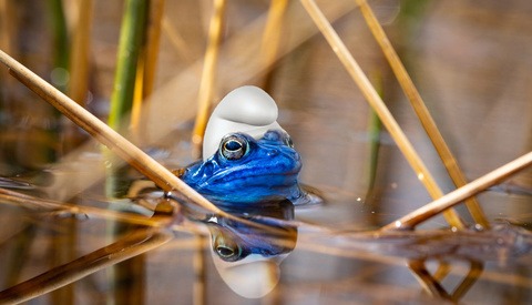 Are Your Photos Real or Not? If They Are Real, How Do You Prove It?