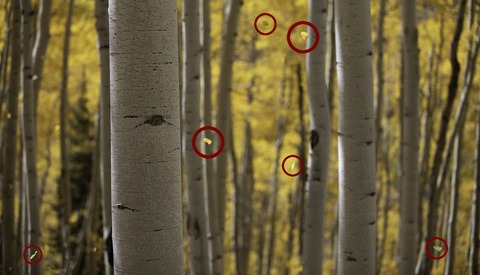 How to Blend Multiple Photos in Landscape Photography