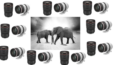 If Canon Doesn't Fix This Huge Problem, Its Mind-Blowing Roadmap for 2021 Will Be Utterly Pointless for Many