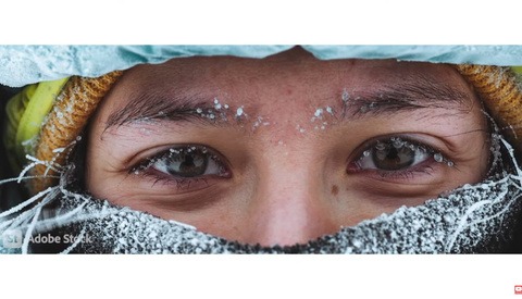 Adobe Stock Launches Library of 70,000 Free Assets