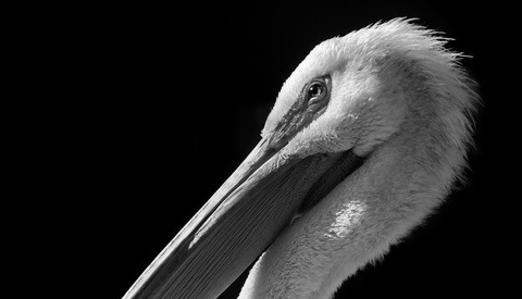 11 Ways to Improve the Sharpness of Your Images (Part 1)