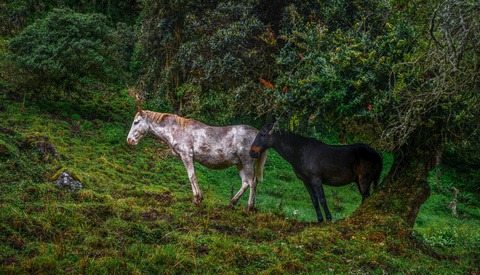 11 Ways to Improve the Sharpness of Your Images (Part 2)