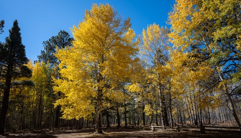 Lightroom Is Great, but Despite Adobe’s Efforts, Photoshop Is Still King