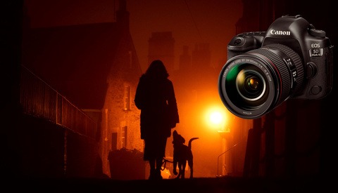 What I Photographed When My Pet Died
