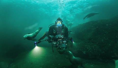 How National Geographic and BBC Filmmaker Bertie Gregory Captures Animal Behavior