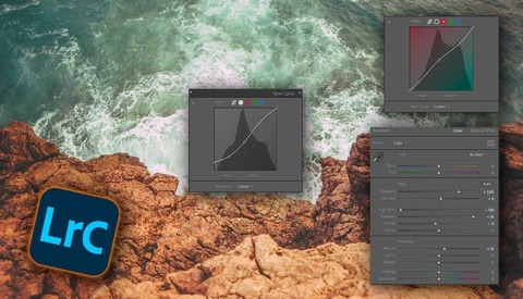 Do You Know the Difference Between Basic Adjustments and Curves?