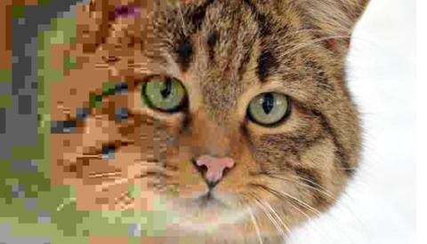 Why Isn't JPEG Dead and Is HEIF the Solution?