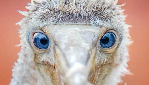 11 Ways to Improve the Sharpness of Your Images (Part 4)