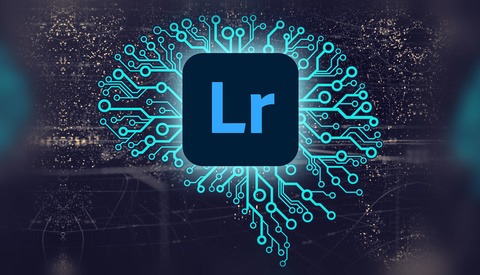 Why Don't We Have Automatic Sensor Dust Removal in Lightroom Yet?