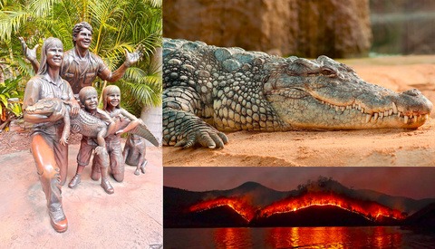 Crikey! Steve Irwin's Son Wins Prestigious Photography Award