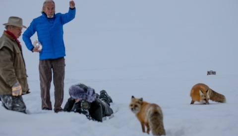 Foxes, Whistleblowing, Cancel Culture, and David Yarrow