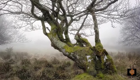 A Guide To When To Use Focus Stacking and How To Do It | Fstoppers