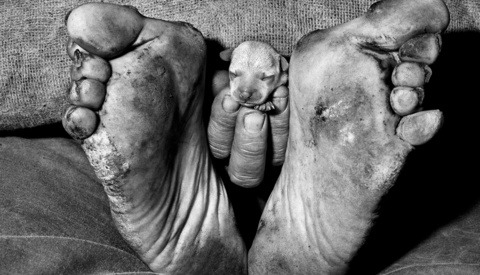 Ballenesque: Roger Ballen's Signature Aesthetic Across Five Decades Photography