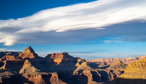 Is the DSLR Really Dead?