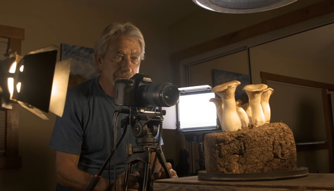 The Long Process of Capturing Time-Lapse Footage of Growing Mushrooms