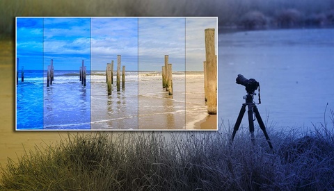 Is There a Difference Between Color Temperature and White Balance?