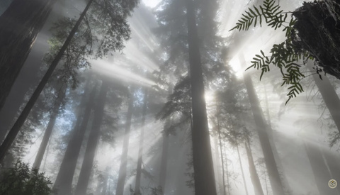 The First Photographer You Have to Satisfy Is Yourself