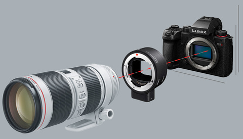 The Gloves Are Off: EF Glass Working on Panasonic S5 II