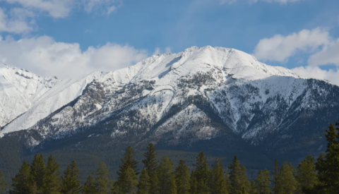 A Beginner's Guide to Choosing the Right Focal Length for Photos