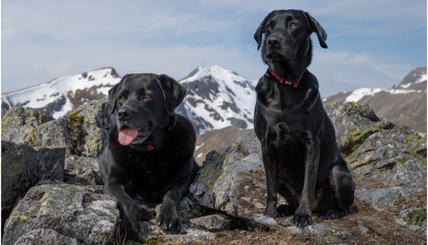 Photoshop's Generative Fill: This Will Change Everything