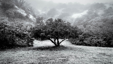 Getting Your Fine Art Photography Into Galleries