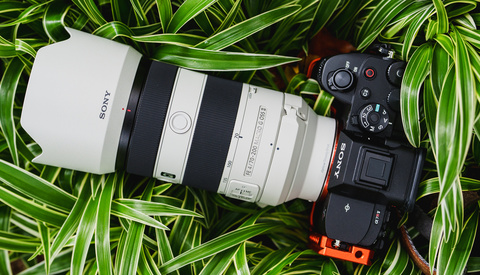 The Sony 70-200mm f/4 G II Takes a Huge Leap in Evolution: We Review
