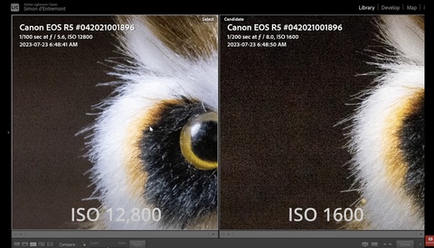 Why You Shouldn’t Always Default to ISO 100