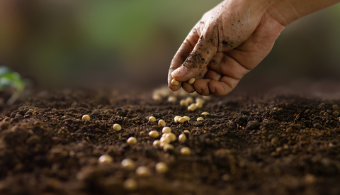 Is It Time to Shift Your Focus From Your Skill to Your Soil?