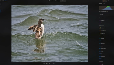 We Review Luminar Neo: Is It Worth Your Investment?