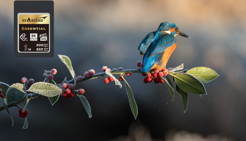 The Best Card I Have Ever Used! My Review of the Exascend 1 TB CFExpress Type A Card