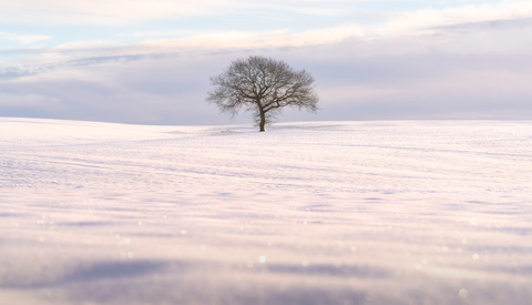 Using Your Telephoto Lens for Beautiful Minimalist Photography